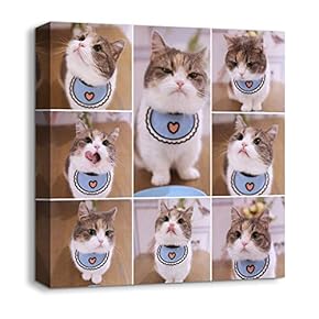Animals Plants Collage Ideas Home Wall for Bedroom...