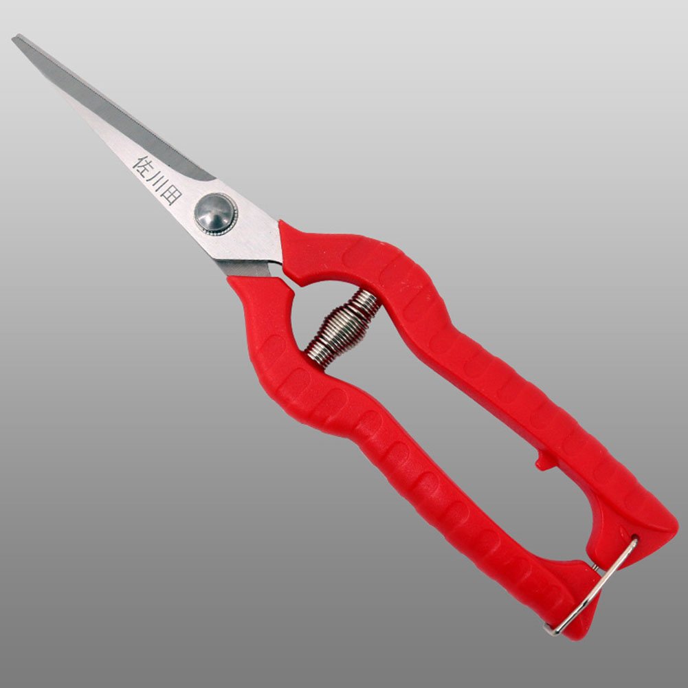 SCISSORS Pruning Shears Shears Bypass Fruit Cutting, Dilute Fruit Cutting, Grape Cutting, Stainless Steel Pruning Shears, And Flower Cutting