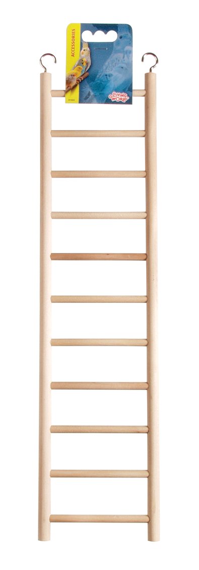 Best Hagen Ladder