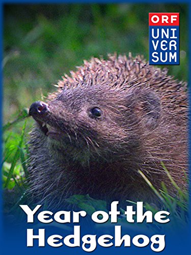Year of the Hedgehog