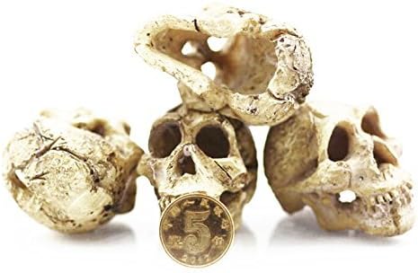 Driak3Pcs Fish Tank Decorative Aquarium Decorations Head Bone Skull Resin Ornament for Reptile or Fish