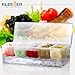 Kleeger Chilled Condiment Server With Lid: 5 Removable Compartments, Bottom Fills With Ice
