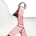 Blueberry Pet 19 Colors Step-in Classic Dog Harness, Chest Girth 16.5