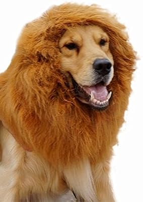 Pet Dog Lion Wigs Mane Hair Party Fancy Amazon Co Uk Pet Supplies