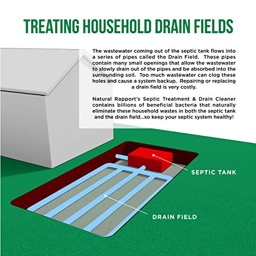 Natural Rapport Septic Treatment and Drain Cleaner - The Only Septic Treatment & Drain Cleaner You Need - Drain and Septic Tank Cleaner Treatment Professional Strength Drain Cleaner for Home and RV
