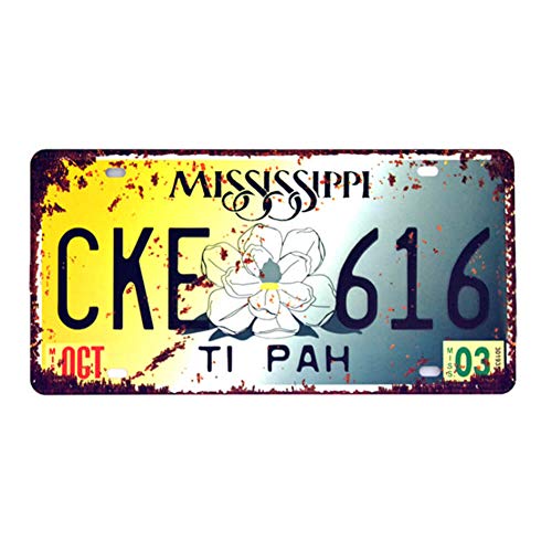 Ayiguri Vintage Feel Wall Decor Car Vehicle License Plate SPTE Souvenir Tinplate Metal Sign Poster Plaque 12 x 6 Inches (Mississippi)
