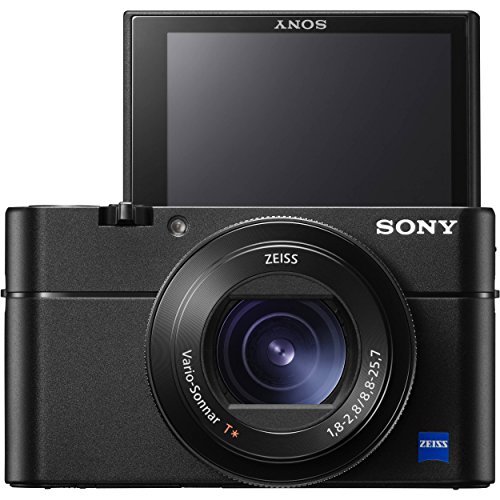 Sony Cyber-Shot DSC-RX100 V Digital Camera + Sony NP-BX1/M8 Battery Spare NP-BX1 Battery, 64gb SDXC 1200x Card, Reader, Case, AC Adapter Bundle Kit - International Version