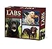 Just Labs 2020 Box Calendar (Dog Breed Calendar)