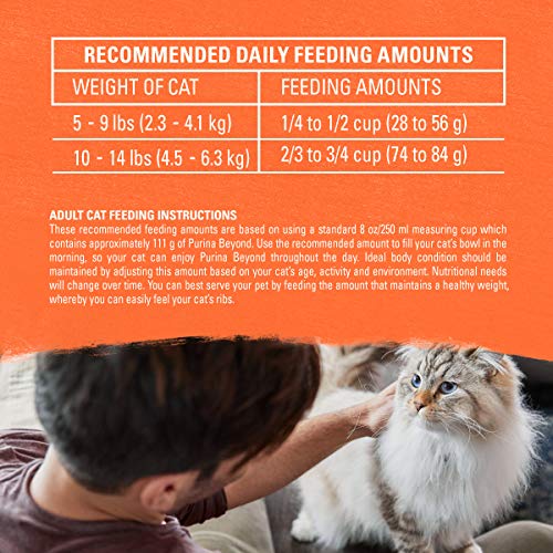 Beyond Purina High Protein Adult Dry Cat Food, Organic Chicken, Egg