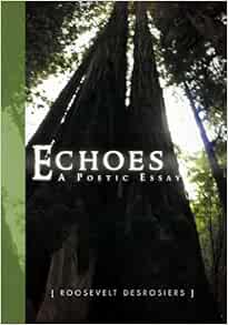 Echoes poetic essay 04 picture