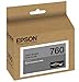 Epson T760720 UltraChrome HD Light Black Standard Capacity Cartridge Ink