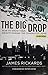 The Big Drop Second Edition How To Grow Your Wealth During The Coming Collapse