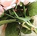 Lemax Artificial Flowers,10 Heads Rose Dahlia Daisy Fake Flower Arrangement Bridal Wedding Bouquets for Home Garden Party Office Décor (Princess Champagne)