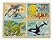 4-in-1 Sea Life Jigsaw Puzzle