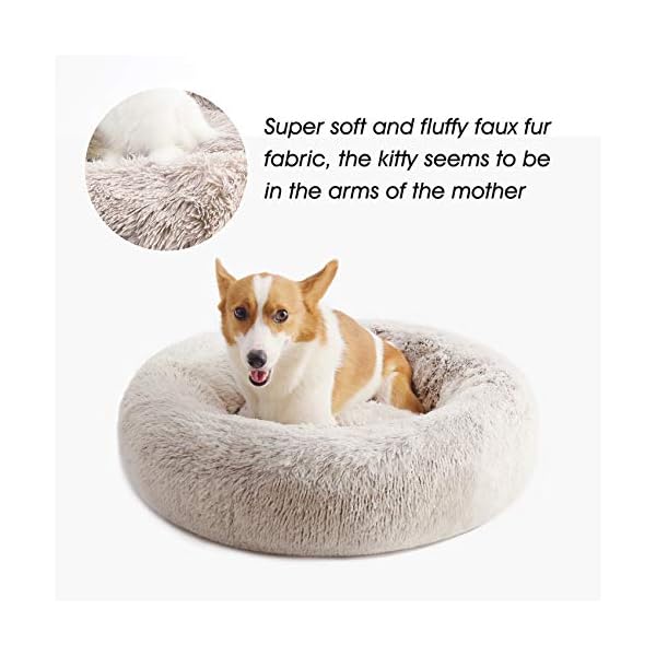 dog fur bed