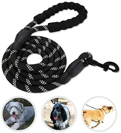 tough dog leash