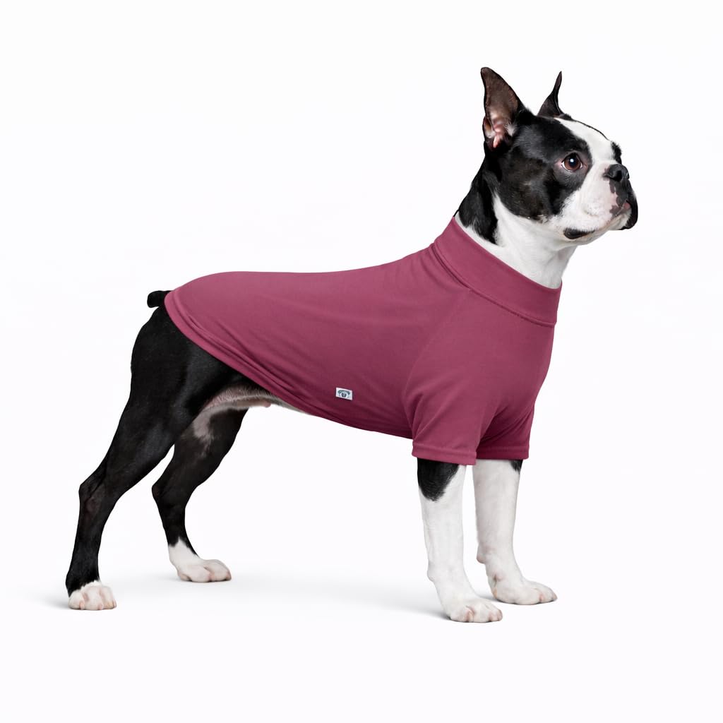 LoveLongLong Spring Summer Cooling Dog T-Shirt with UV Protection and Moisture-Wicking Fabric Blank Color Taro purple L