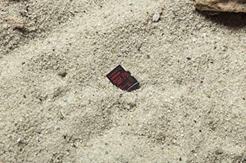 Kingston - SDCR/256GBSP - Me Sdcr 256Gbsp 256G SD Card Canvas React U3 UHS-I V30 A1 W O Adapter
