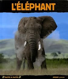 L' éléphant