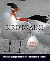 Bird Brains: Inside the Strange Minds of Our Fine Feathered Friends