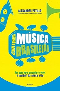 Livro Curtindo música brasileira
