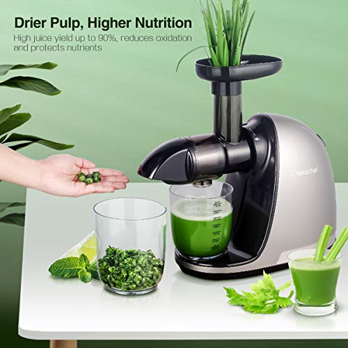 Slow Masticating Juicer, AMZCHEF Slow Juicer Extractor Professional