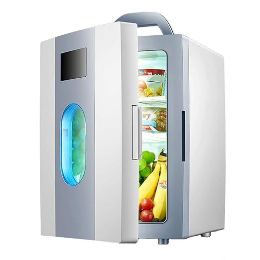 Refrigerador mini de 10L, refrigerador de insulina de doble uso ...