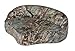 Wise Pro Casting Seat, Duck Blind Camo