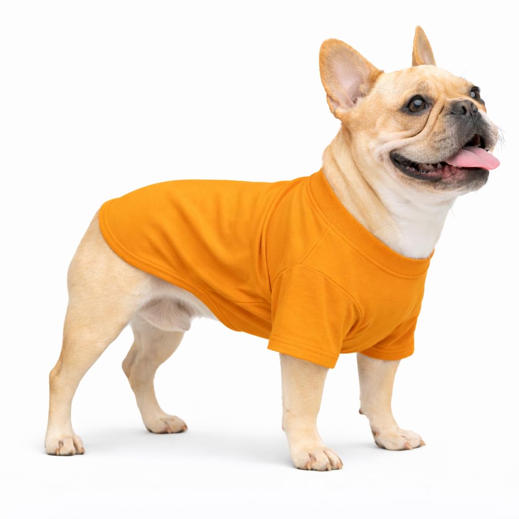 Lovelonglong Bulldog Clothes Dog Clothing Blank T-Shirt Tee Shirts for French Bulldog English Bulldog American Pit Bull Pugs 100% Cotton Skin Care Orange B-S