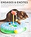 Catstages Cheese Chase Interactive Cat Track Toy with Balls and Catnip Toy, Multicolored