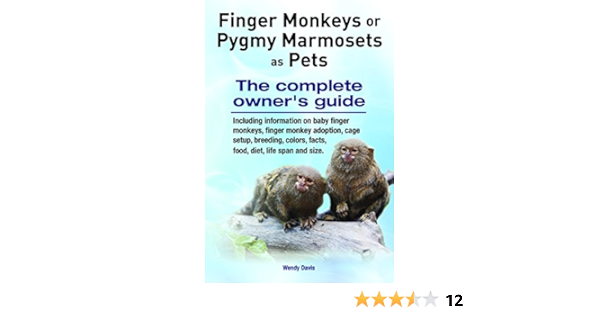 finger monkey food