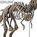 ESALINK T-Rex Replica Skeleton Model Assembly Saft PVC Non-Toxic and Eco-Friendly 3D Puzzles Dinosaur Simulation Edu-Toys