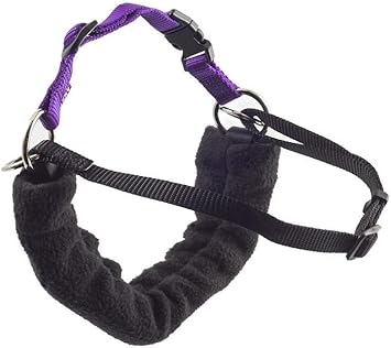 stop dog pulling on lead uk