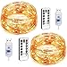 AquaVita 100 LED 33Ft Fairy String Lights. Decorative Fairy Lights for Christmas Tree, Bedroom, Patio, Garden, Party, Cafe Decoration. USB Powered Warm White String Lights with Remote & Timer. 2pcs