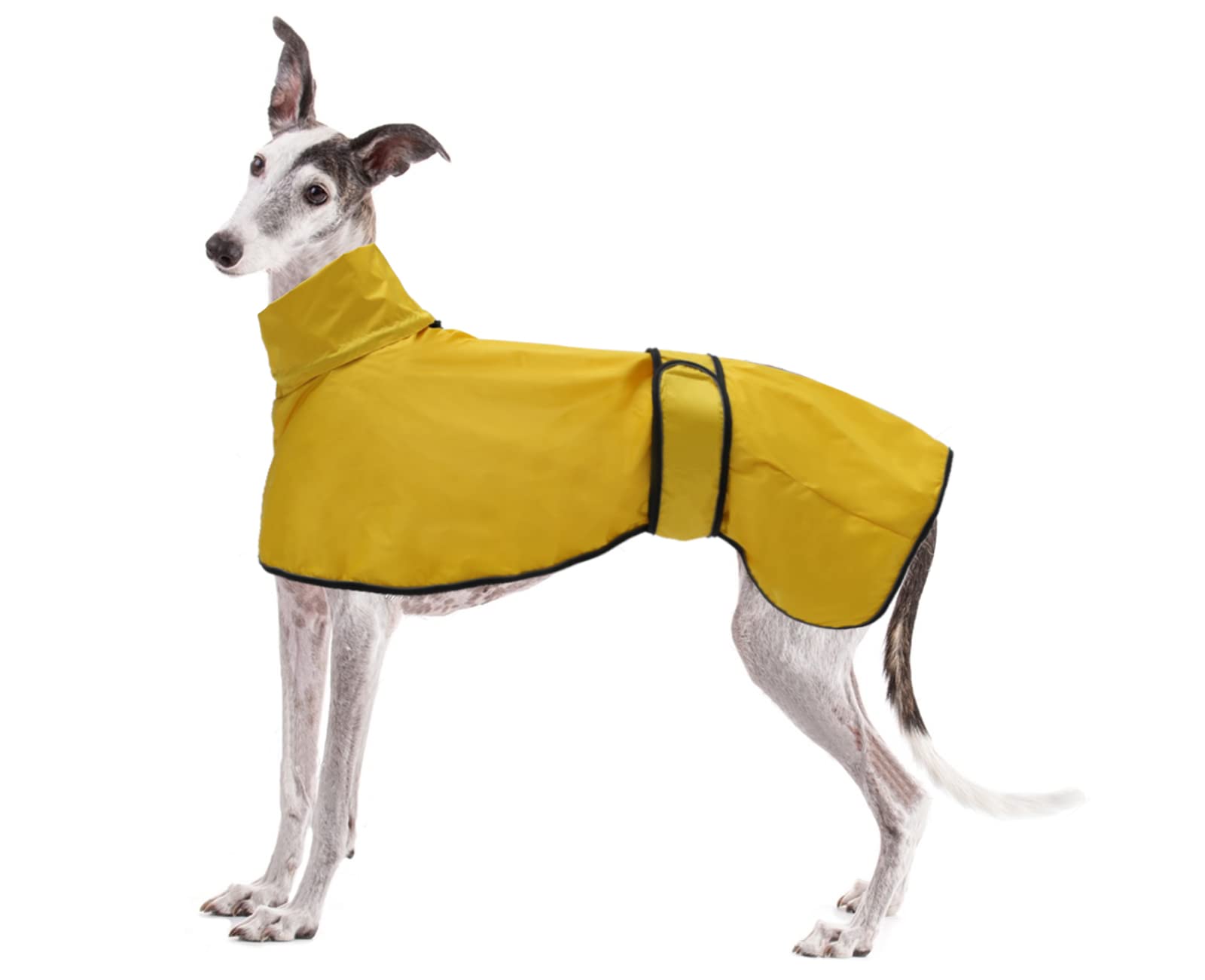 Dog Jacket Adjustable Lightweight Raincoat with Reflective Straps and Harness Hole Best Gift for Greyhounds, Lurchers and Whippets -Yellow -M