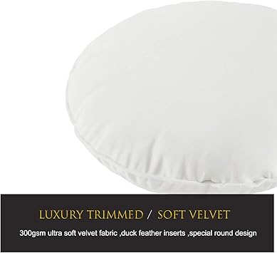 round cushion inserts spotlight