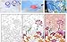 Sonby Brand Frameless DIY Paint by Numbers Kits for Adult White Skirt Ballerina in Ballet Training Room On Canvas Painting by Number for Home Wall Decor,Unmounted