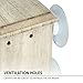 Wooden Bird Nest Box by PetsN’all | Clear View Window Bird Nest for Bird Watching | Heavy-Duty Suction Cups, Angled Roof, Drainage Holes