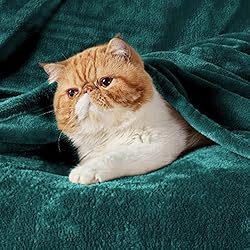 Bedsure Fleece Blanket Throw Blanket Emerald Green