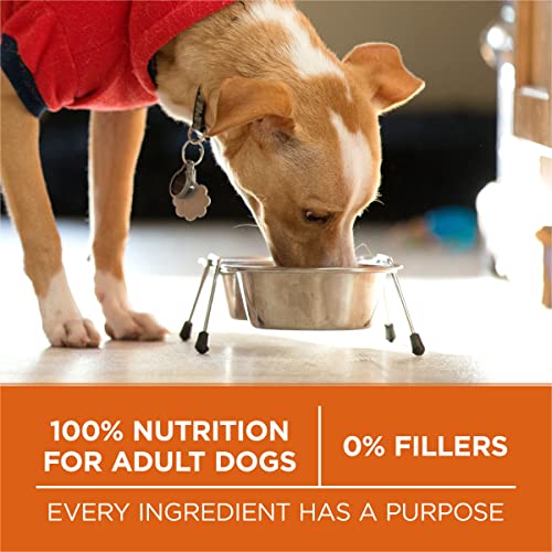 Purina ONE Plus Healthy Weight HighProtein Dog Food Dry Formula 31.1