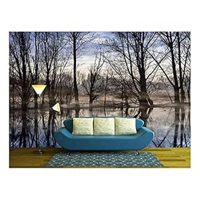 Mist on The Water in De Bourgoyen Nature Reserve Near Ghent, Belgium - Removable Wall Mural | Self-Adhesive Large Wallpaper - 66x96 inches