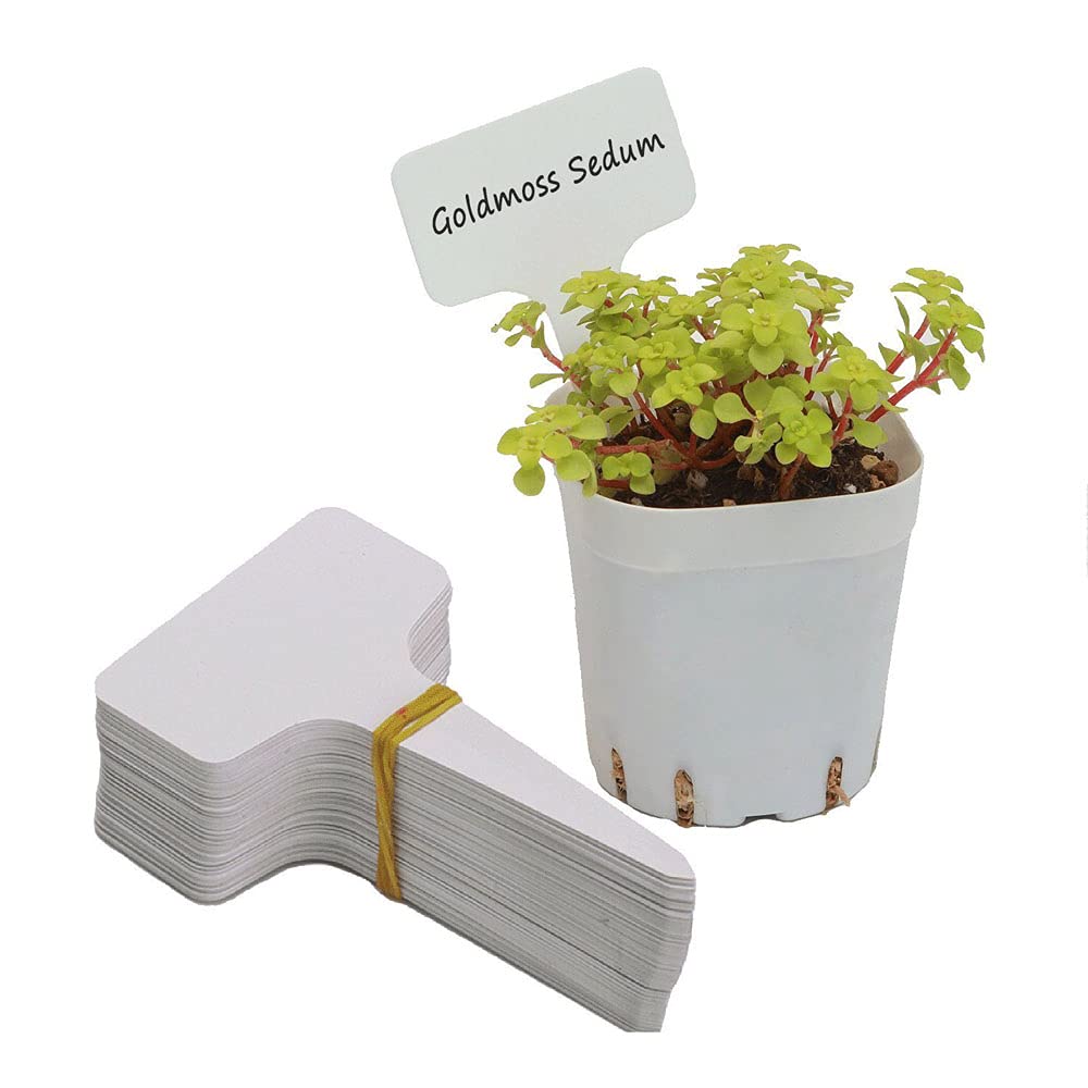 CENPEK 50Pcs Waterproof T Tag Plant Markers Premium Nursery Garden Labels-White 20cm