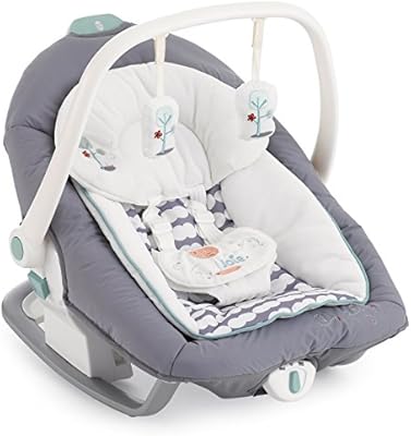joie serina 2 in 1 swing amazon