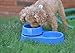 The 3-in-1 Ant Free Pet Dish (Small Blue)