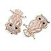 Reizteko Crystal Rhinestone Perched Cute Green Eyed Owl Brooch and Pin Comes with Gift Bag (Beige)