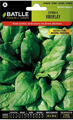 Semillas Hortícolas - Espinaca Butterflay - Batlle: Amazon.es: Jardín