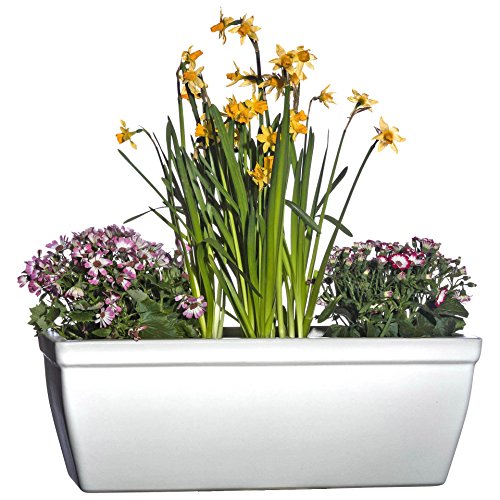 Hentschke Keramik Balkonkasten Fensterkasten frostsicher 48 x 19 x H 17 cm, weiß, 259.048.04 - Made in Germany – Bild 4