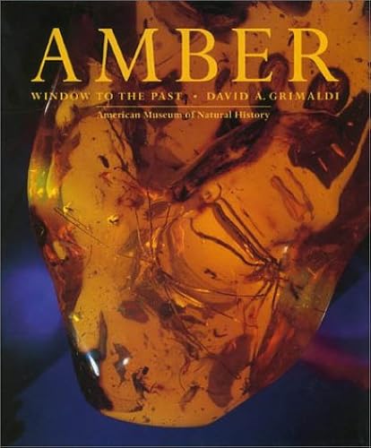 Download Amber: Window to the Past PDF
