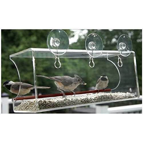 Large Window Bird Feeder Clear Window Mount See Through Feeder