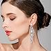 BriLove Women's Elegant Crystal Wedding Bridal 1920s Hollow Floral Cluster Teardrop Dangle Earrings Clear Silver-Tone